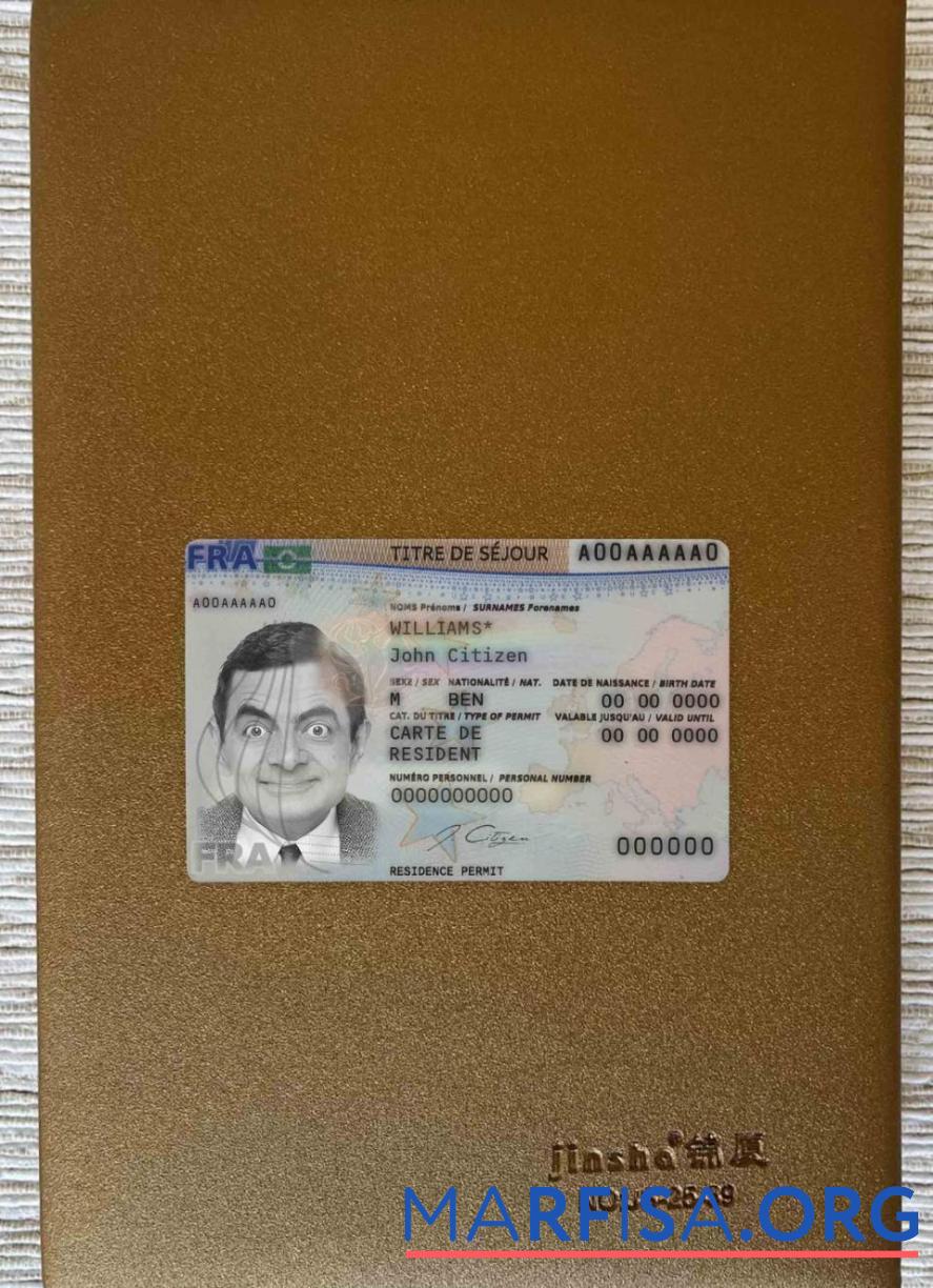 Downloadable France new residence card 2019 present photolook FRONT template